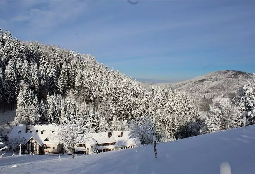 Hotel Berggasthof Linde