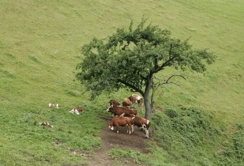Hotel Berggasthof Linde