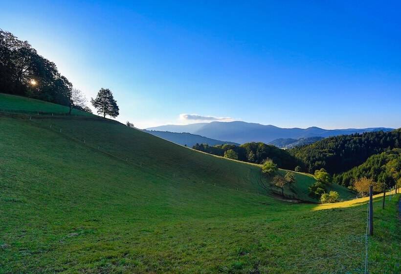 Отель Berggasthof Linde