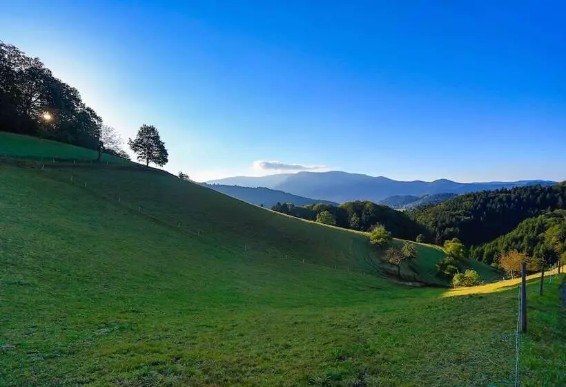 Hotel Berggasthof Linde