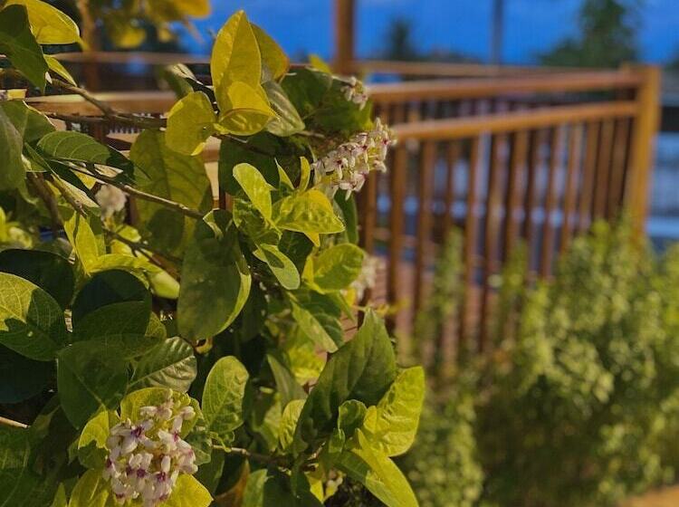 Hotel Pousada Alto Da Floresta Noronha By Alto Da Ilha