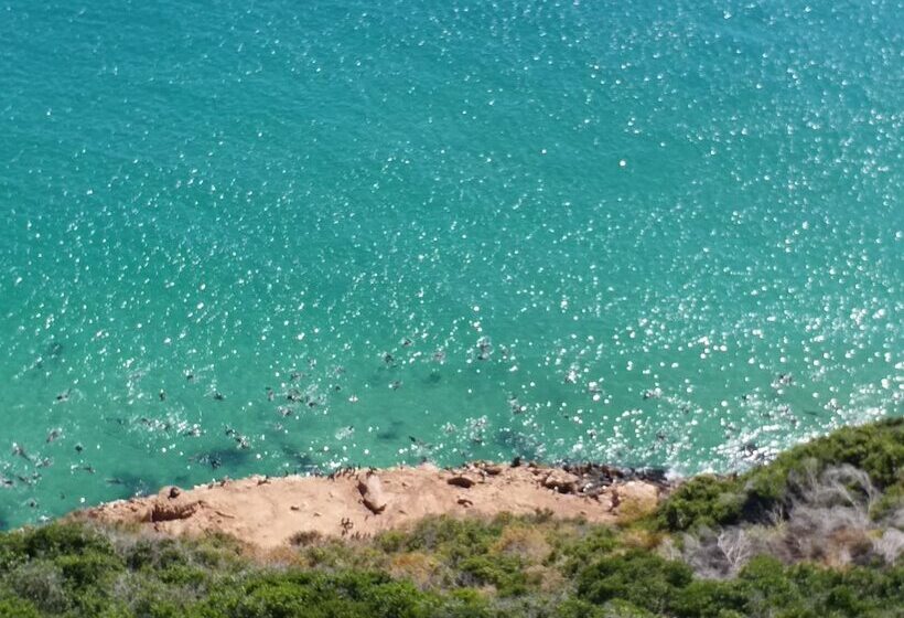 פנסיון 115 On Beachy Head Drive Guest House