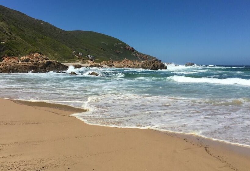 פנסיון 115 On Beachy Head Drive Guest House