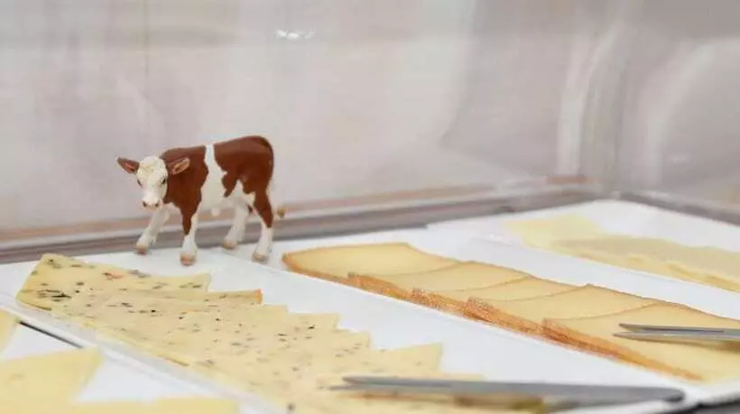 Hotelli Bartmanns Haus