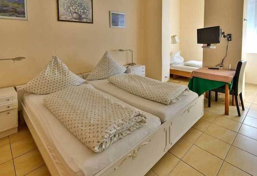 Отель Haus Erika