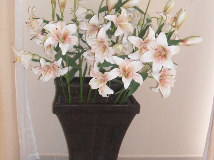 The Elephant Hills B&b