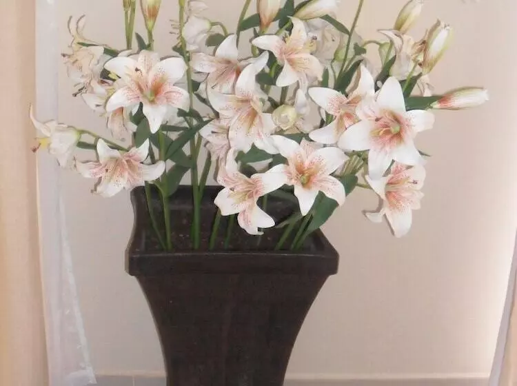 The Elephant Hills B&b