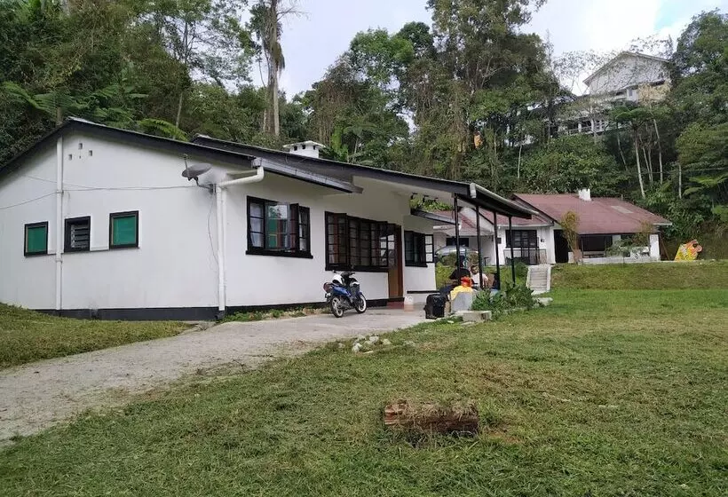 Garden Guest House   Hostel