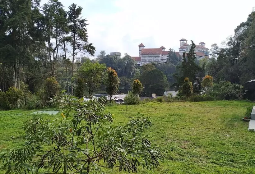Garden Guest House   Hostel