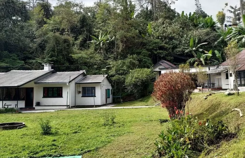 Garden Guest House   Hostel