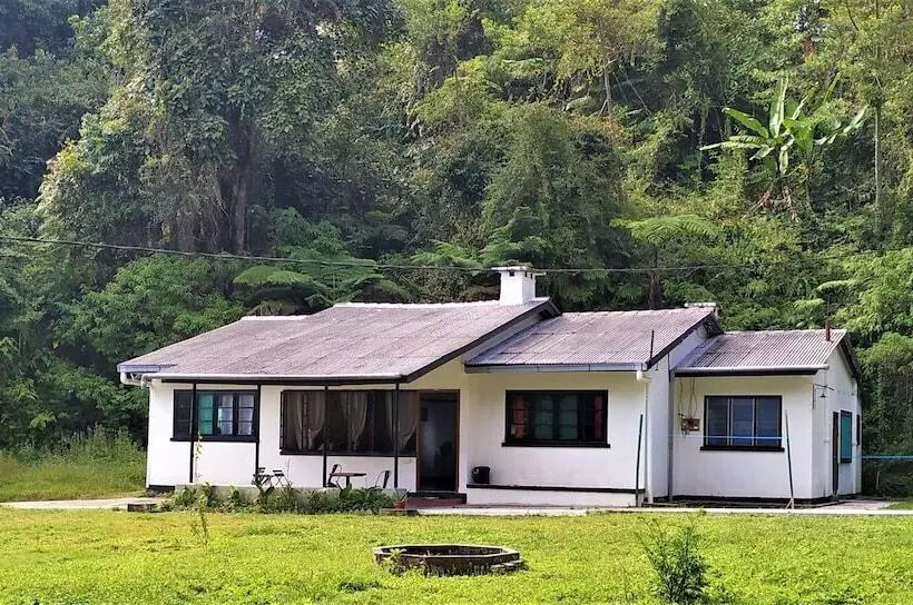 Garden Guest House   Hostel