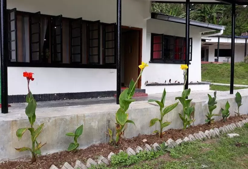 Garden Guest House   Hostel