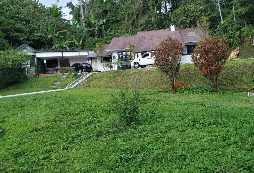 Garden Guest House Hostel