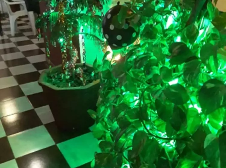 ホテル Black Pepper Home Stay