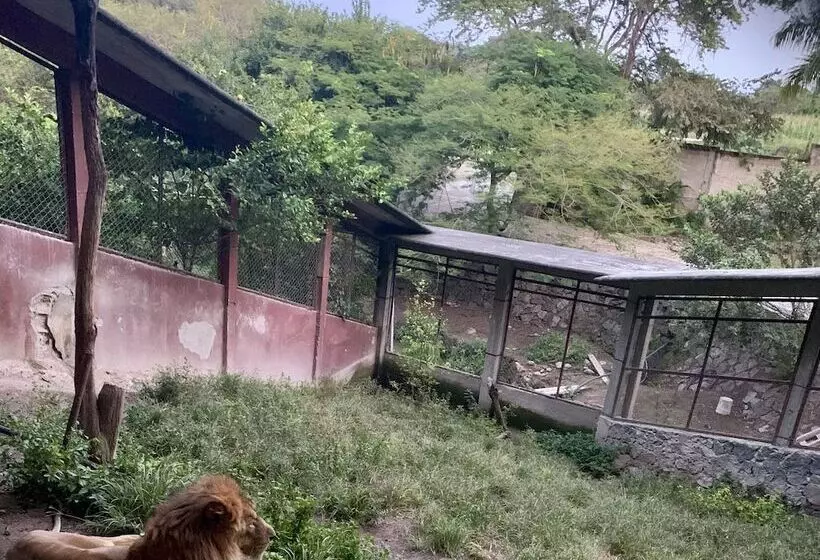 ホテル Rancho Agua Salada