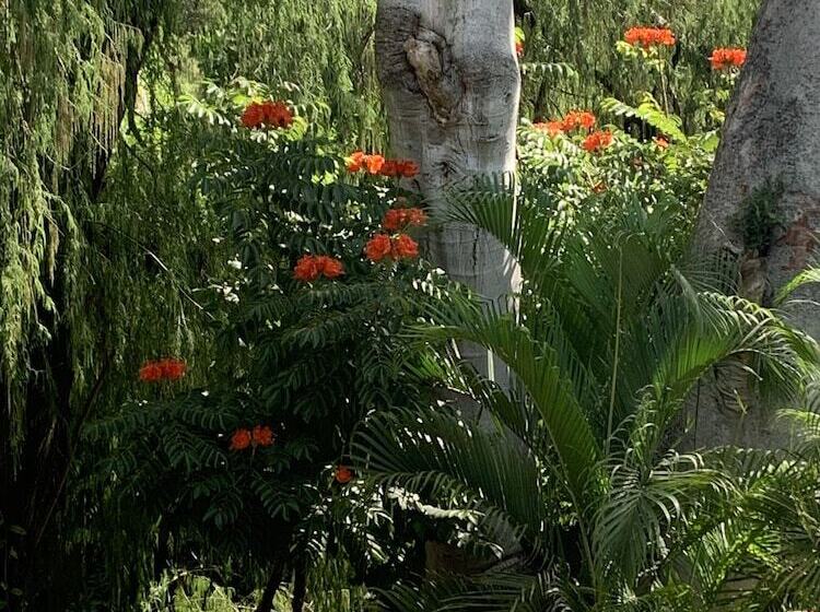 فندق Rancho Agua Salada