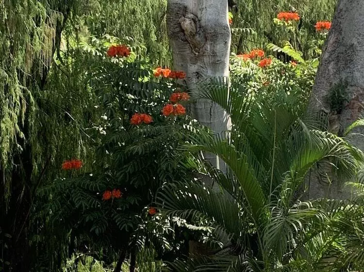 ホテル Rancho Agua Salada