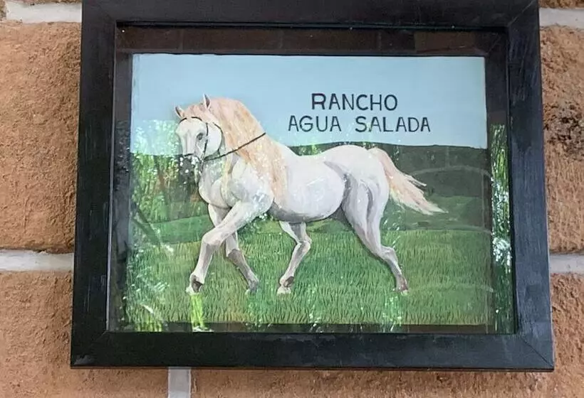 ホテル Rancho Agua Salada