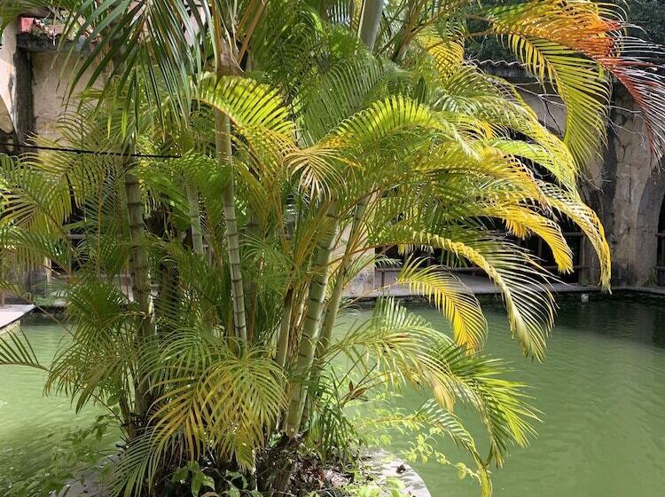 فندق Rancho Agua Salada