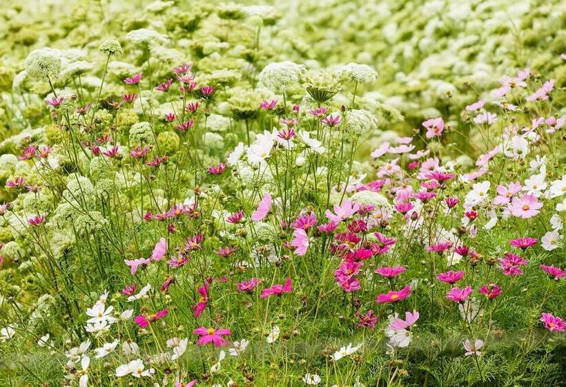 בית מלון כפרי Blue Lily Retreat