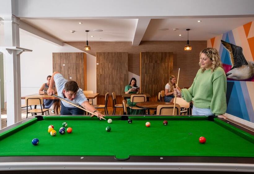 هاستل Haka House Christchurch