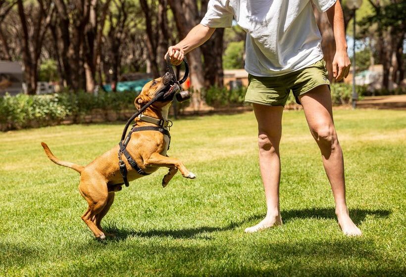 בית מלון כפרי Gitavillage Le Marze