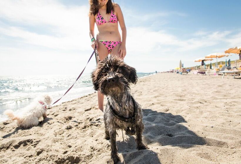 בית מלון כפרי Gitavillage Le Marze