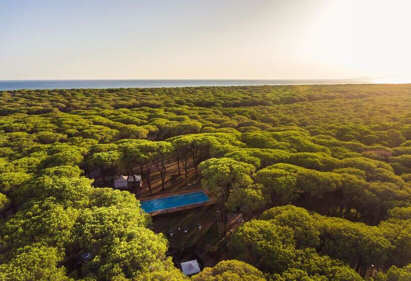 בית מלון כפרי Gitavillage Le Marze