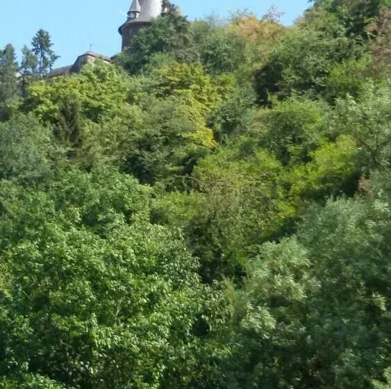 Pension Winzerhaus