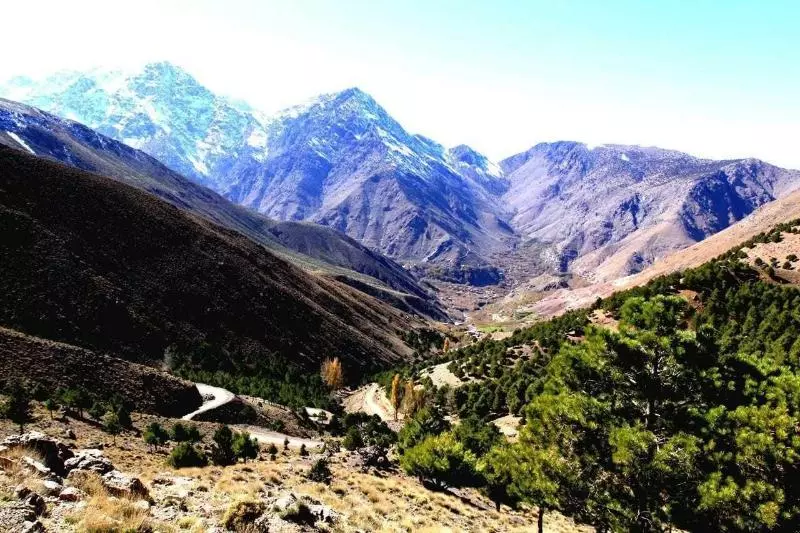Auberge Armed Toubkal Trek  Hostel