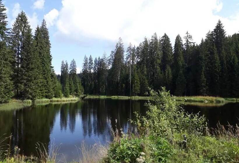 Bed and Breakfast Bayrisch Retro