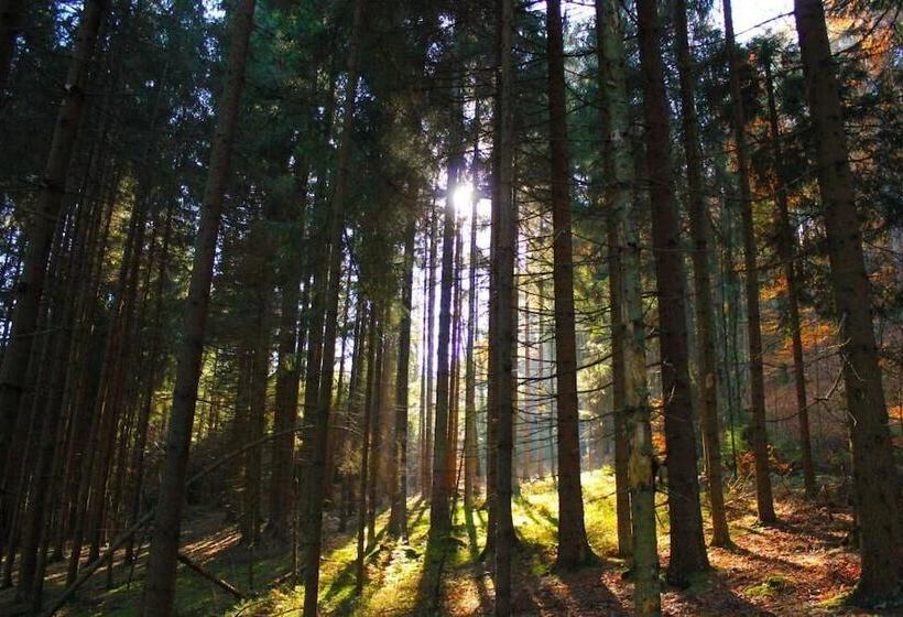 Bed and Breakfast Bayrisch Retro