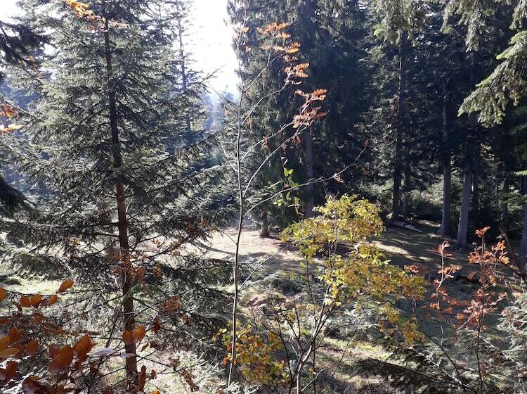 Bed and Breakfast Bayrisch Retro