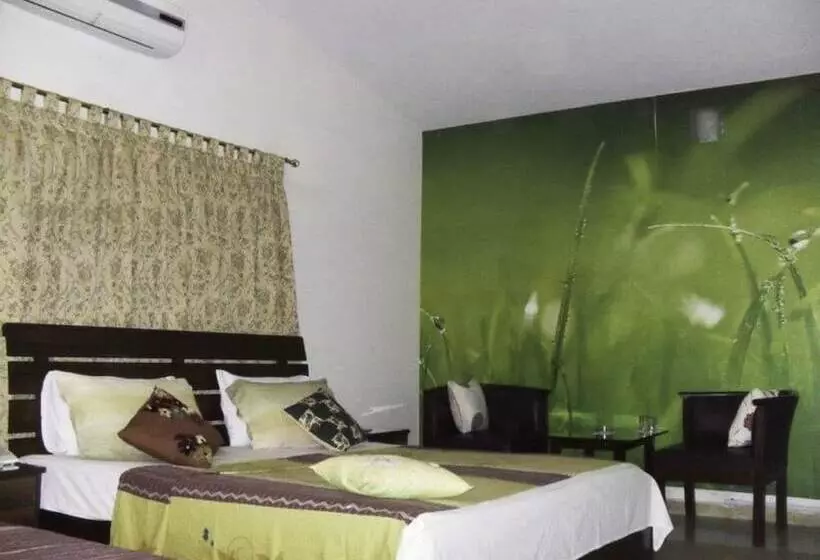 هتل Asaish Guest House