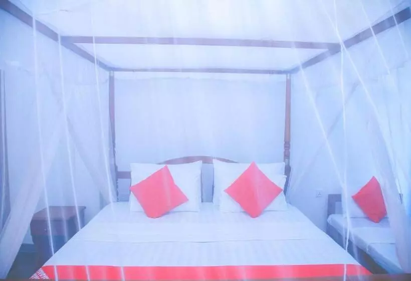 Hotel Surf Sea Breeze