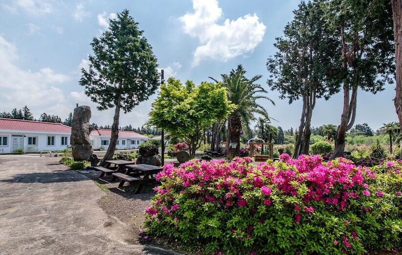 פנסיון Jeju Green Pampas