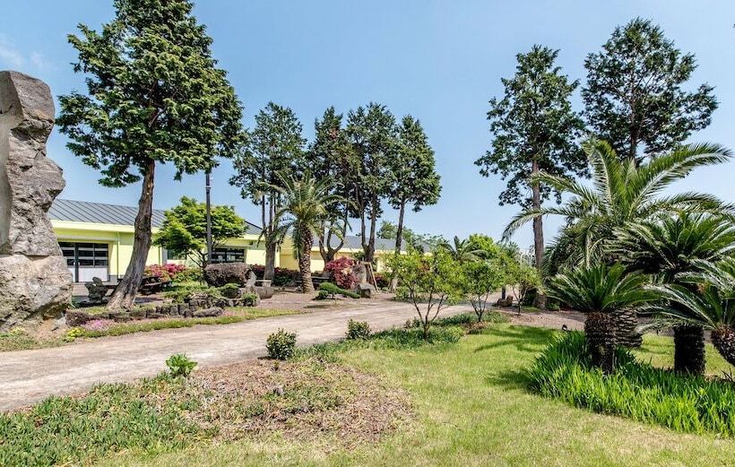 פנסיון Jeju Green Pampas