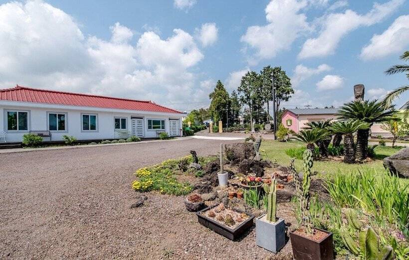 פנסיון Jeju Green Pampas