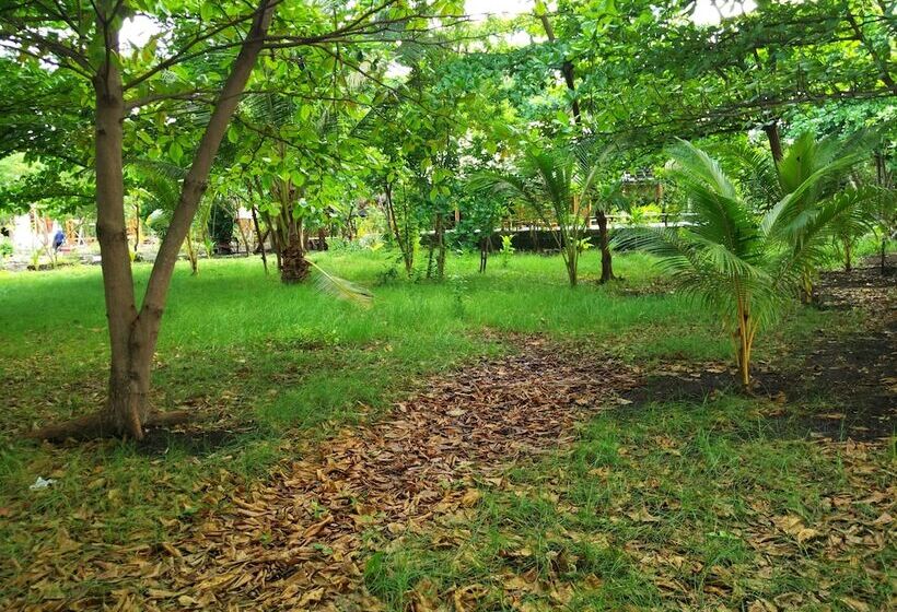 مبيت وإفطار Budi Sun Resort