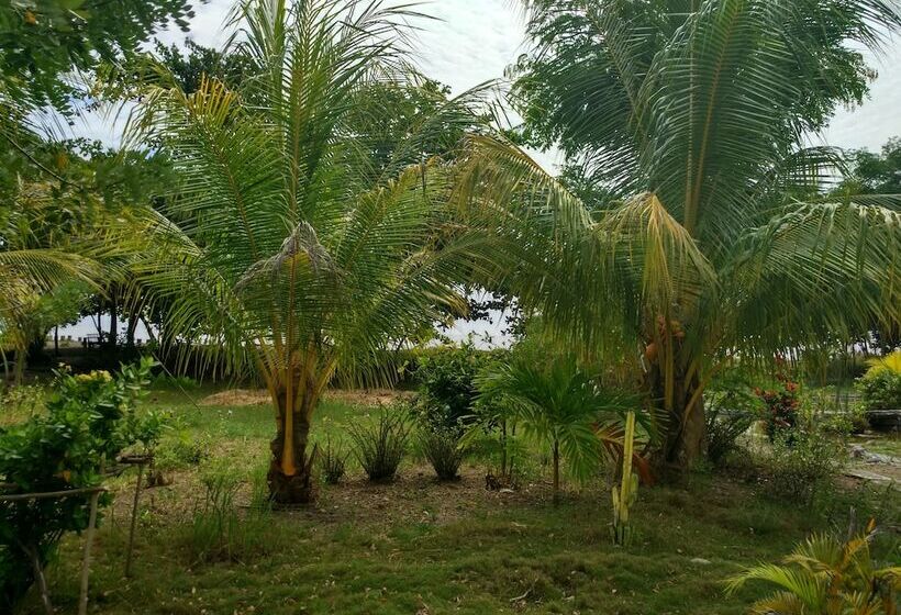 مبيت وإفطار Budi Sun Resort