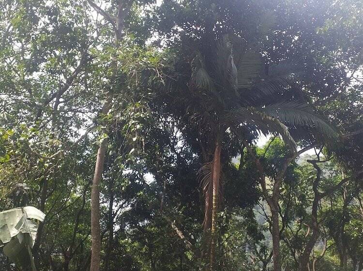 Majatalo Ella Nature Nest