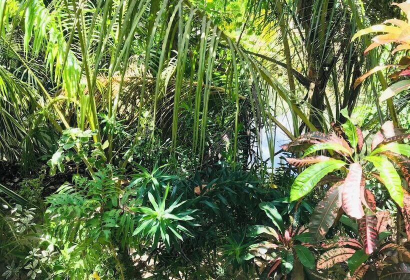 پانسیون Seashore Mirissa