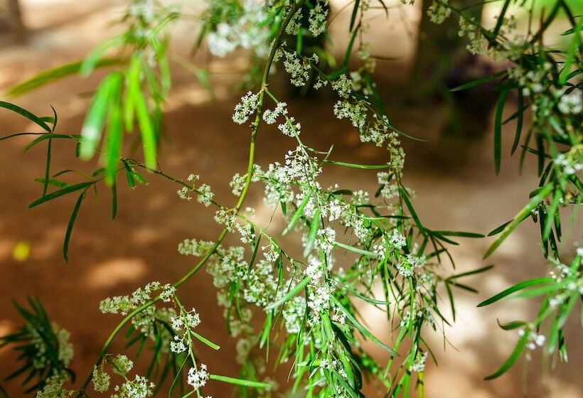 پانسیون Seashore Mirissa