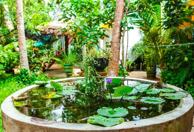 پانسیون Seashore Mirissa