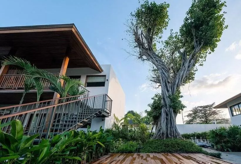 Banana Fan Sea Resort