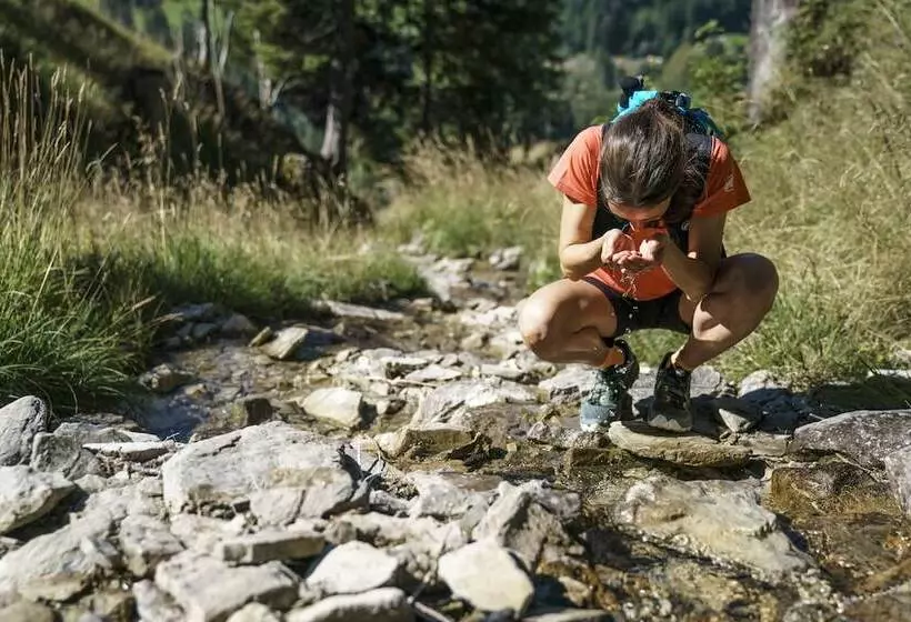 ホテル Steinmattli