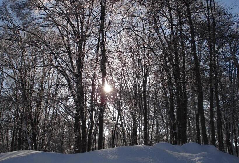 בית מלון כפרי Altitude Madarao