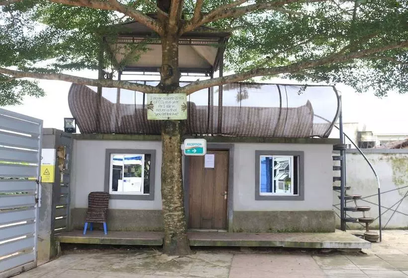 پانسیون Naturemark Gallery And Guest House