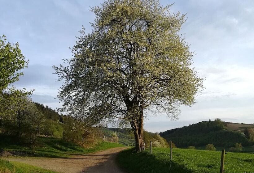 Bauernhofpension Wiebelhausmester
