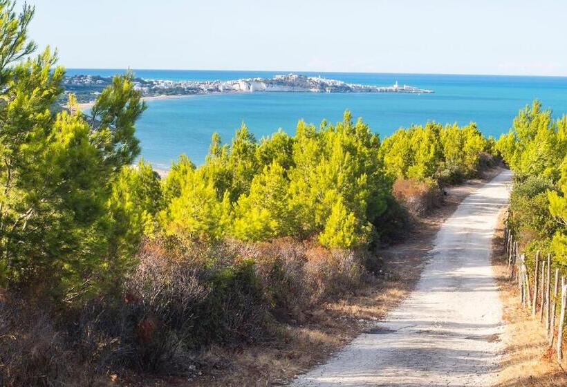 Casa Colletta Vieste